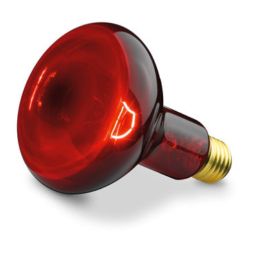 BEURER IL11 REPLACEMENT BULB 100W