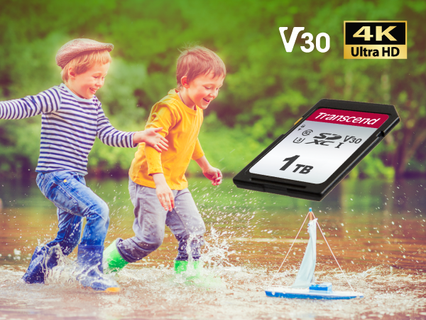 Transcend TS1TSDC300S, 1TB SD Card UHS-I U3