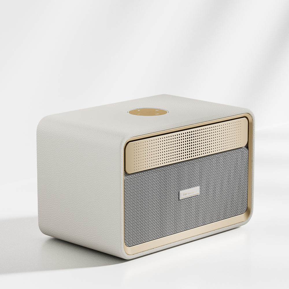 HiFuture Passion X – 100W Wireless Bluetooth Speaker - Black