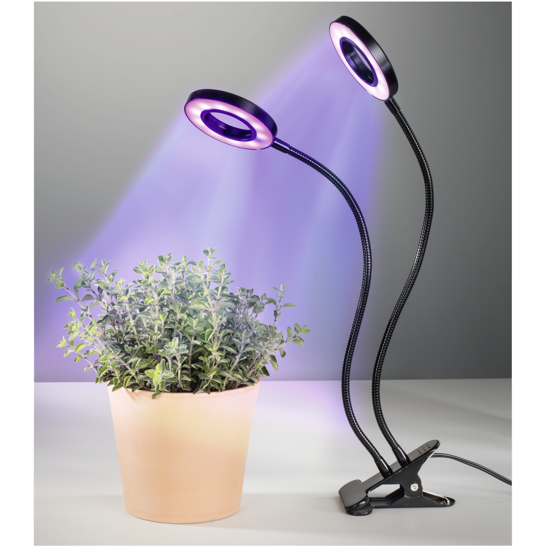 XAVAX 112696 "Circle" LED Plant Lamp
