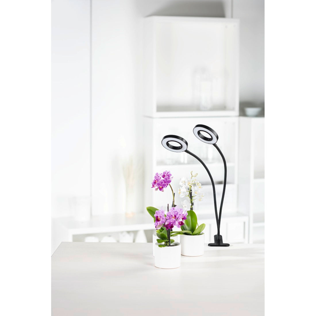 XAVAX 112696 "Circle" LED Plant Lamp