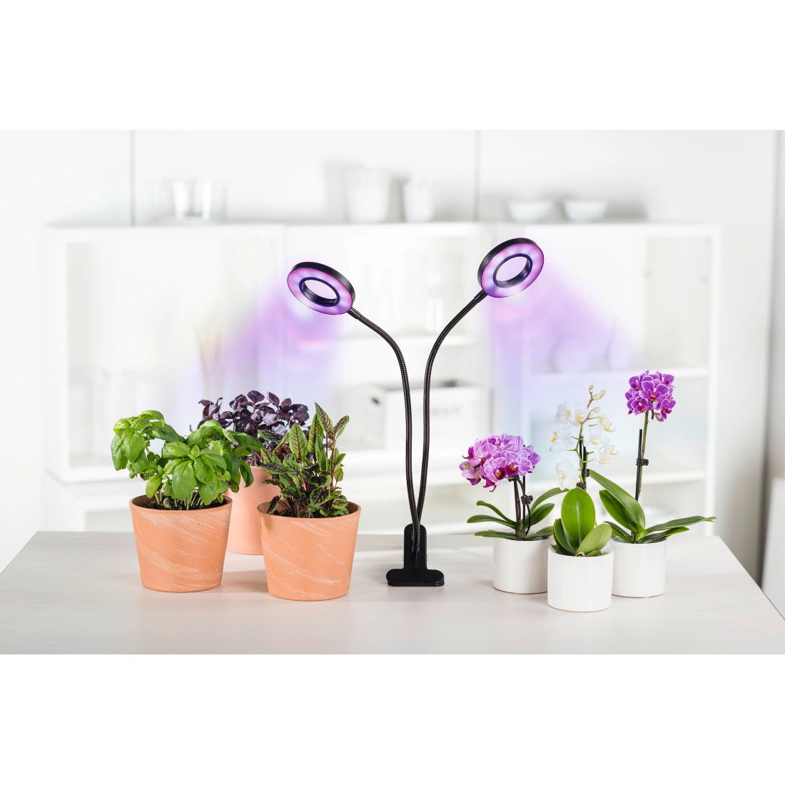 XAVAX 112696 "Circle" LED Plant Lamp