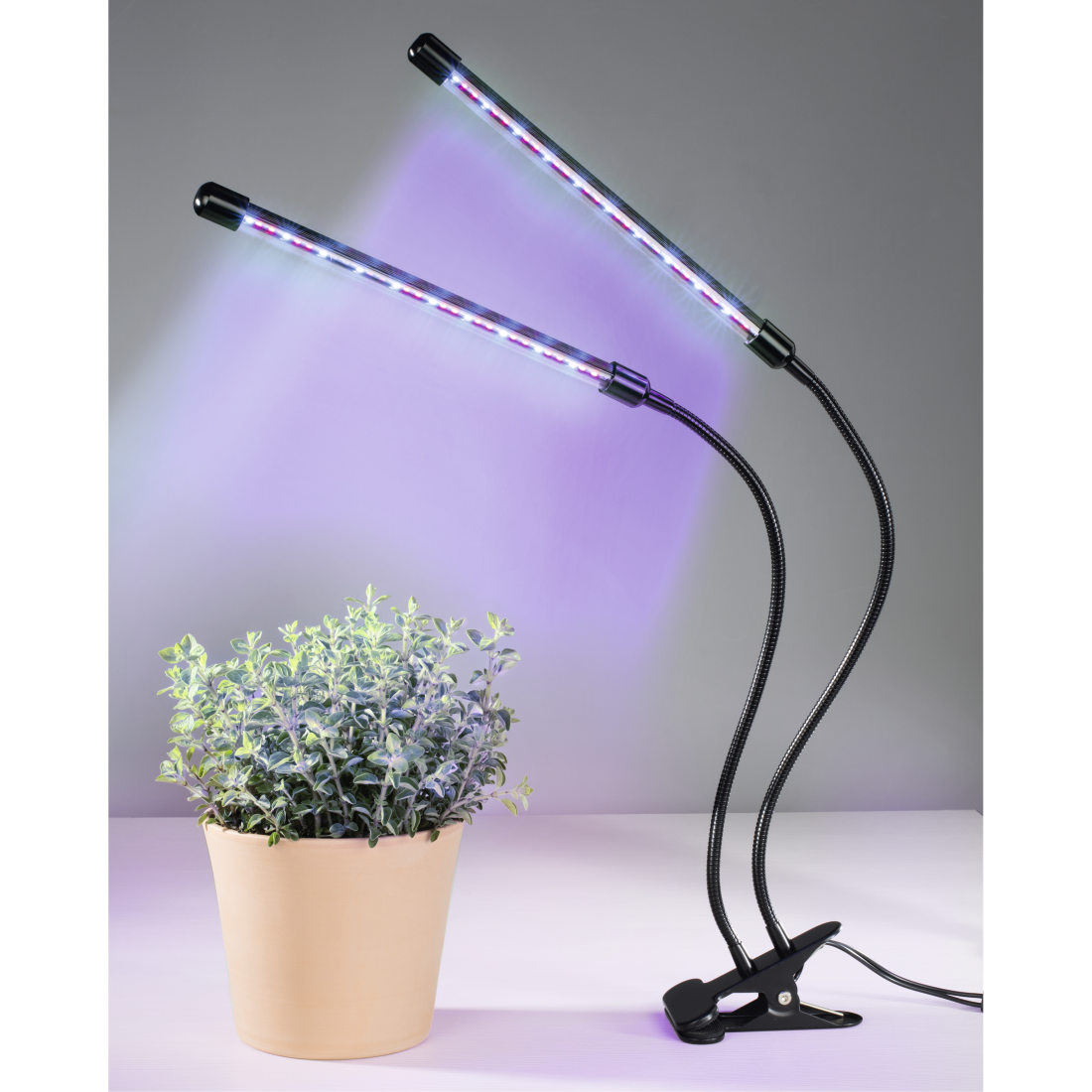 XAVAX 112697 "Stick" LED Plant Lamp