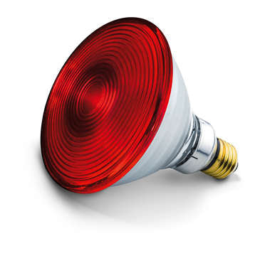 BEURER IL30/35 REPLACEMENT BULB 150W