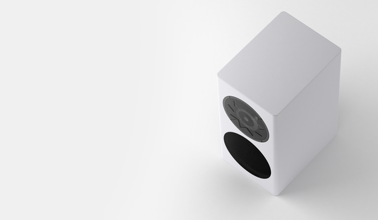 MANGER Z1 Compact Power House
